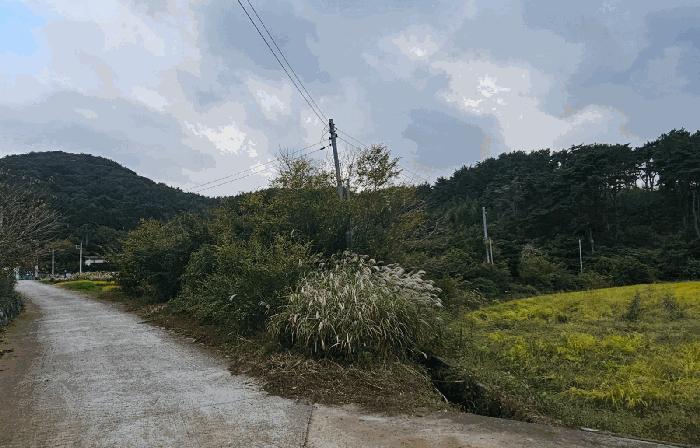 경상남도 거제시 동부면 산양리 1277-3 법원경매 물건 대표사진