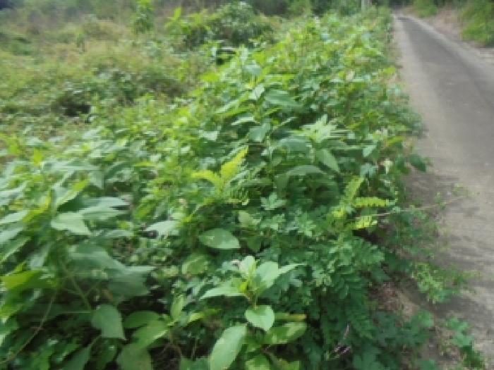 2025타경30783 법원경매 사진37 | 충북 음성군 종교시설 경매