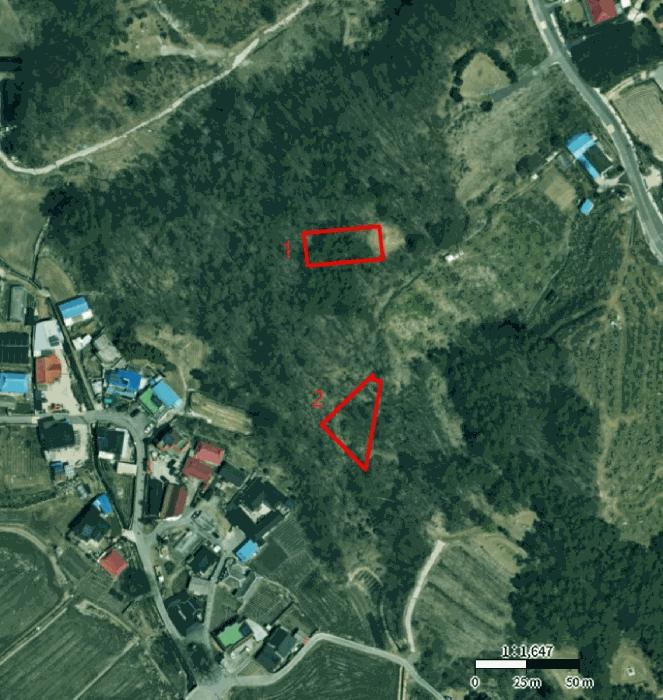 2025타경30813 법원경매 사진10 | 충북 충주시 임야 경매