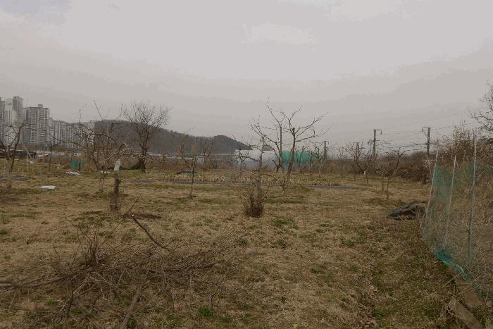 법원경매 2025타경592 사진11 | 대구 수성구 매호동 530-1 전 경매