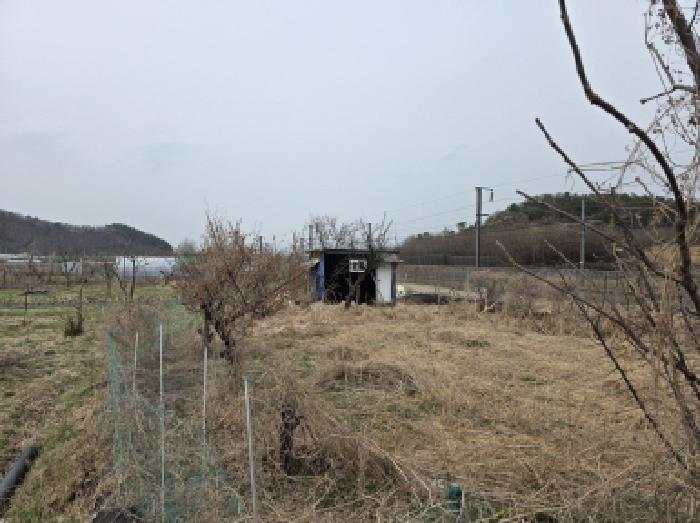 법원경매 2025타경592 사진17 | 대구 수성구 매호동 530-1 전 경매