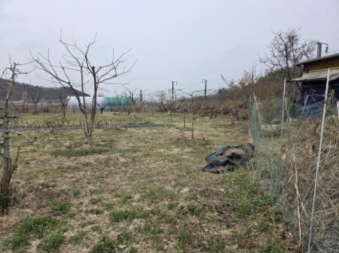 법원경매 2025타경592 사진18 | 대구 수성구 매호동 530-1 전 경매