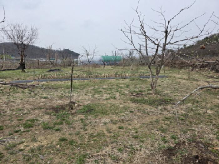 법원경매 2025타경592 사진19 | 대구 수성구 매호동 530-1 전 경매