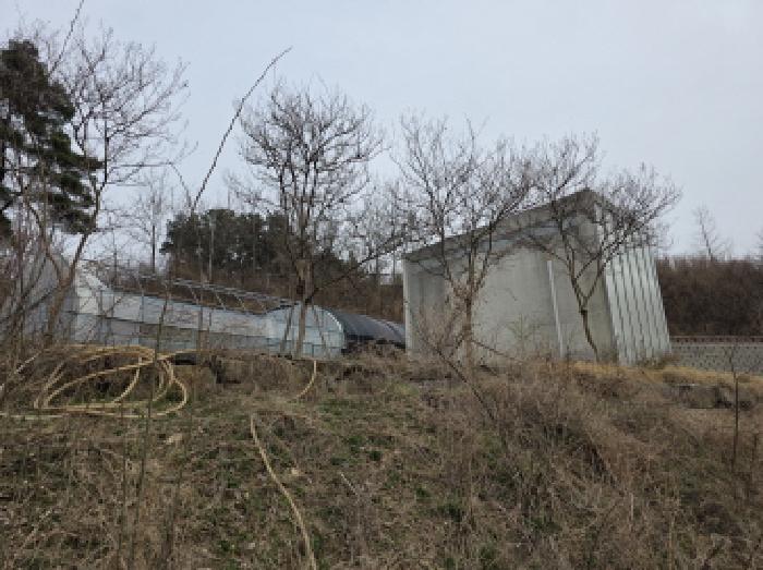 법원경매 2025타경592 사진21 | 대구 수성구 매호동 530-1 전 경매