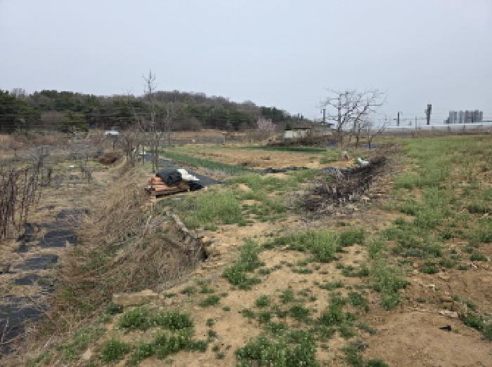 법원경매 2025타경592 사진28 | 대구 수성구 매호동 530-1 전 경매