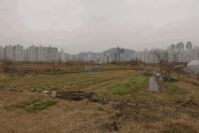법원경매 2025타경592 사진8 | 대구 수성구 매호동 530-1 전 경매