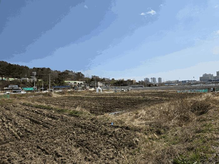법원경매 2025타경278 사진3 | 부산 기장군 기장읍 석산리 126-1 답 경매