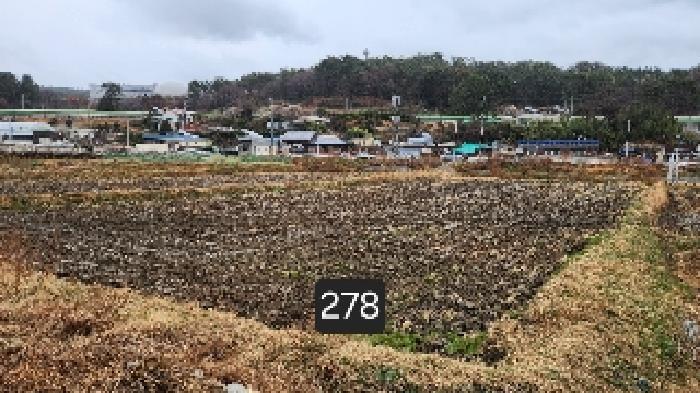 법원경매 2025타경278 사진5 | 부산 기장군 기장읍 석산리 126-1 답 경매