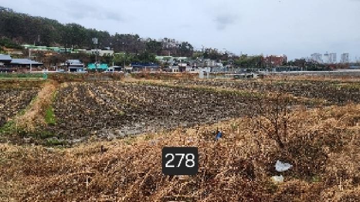 법원경매 2025타경278 사진6 | 부산 기장군 기장읍 석산리 126-1 답 경매