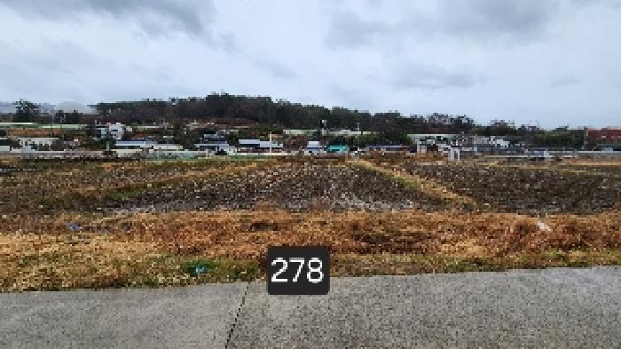 법원경매 2025타경278 사진7 | 부산 기장군 기장읍 석산리 126-1 답 경매