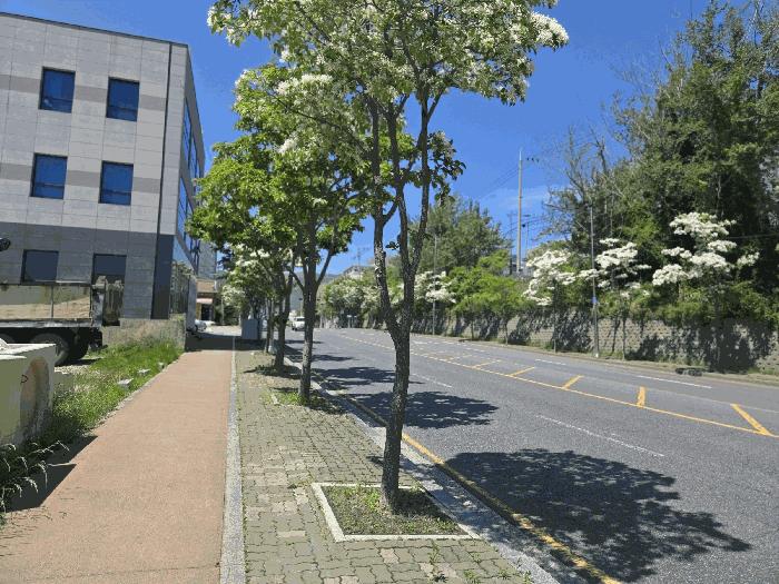법원경매 2025타경492 사진2 | 부산 기장군 정관읍 달산리 1237-2 대지 경매