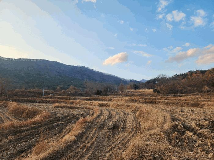 법원경매 2025타경500 사진2 | 부산 기장군 장안읍 명례리 806 답 경매