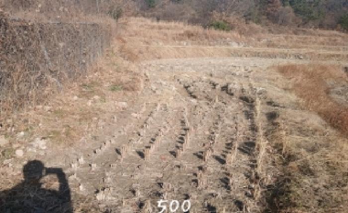법원경매 2025타경500 사진4 | 부산 기장군 장안읍 명례리 806 답 경매