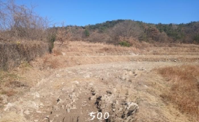 법원경매 2025타경500 사진5 | 부산 기장군 장안읍 명례리 806 답 경매
