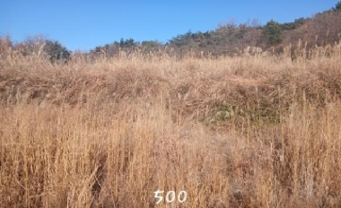 법원경매 2025타경500 사진6 | 부산 기장군 장안읍 명례리 806 답 경매