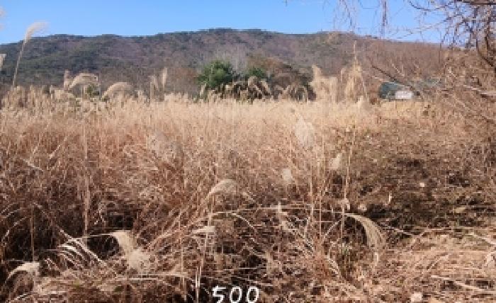 법원경매 2025타경500 사진7 | 부산 기장군 장안읍 명례리 806 답 경매