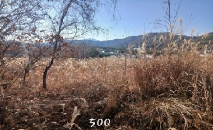 법원경매 2025타경500 사진8 | 부산 기장군 장안읍 명례리 806 답 경매