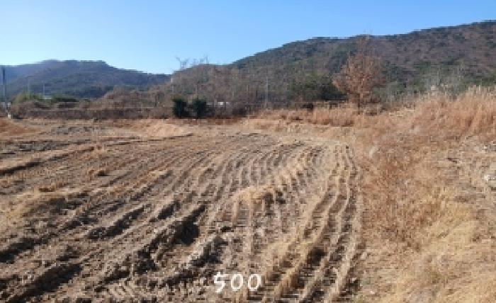 법원경매 2025타경500 사진9 | 부산 기장군 장안읍 명례리 806 답 경매
