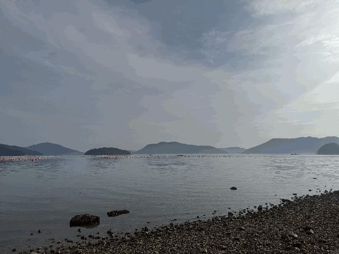 거제시 거제면 거제면 법동리 산달도 지선 법원경매 물건 대표사진