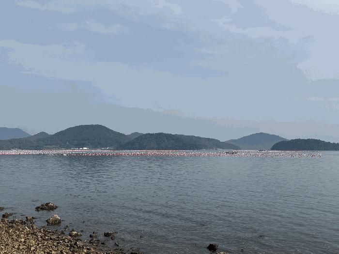 2025타경577 법원경매 사진2 | 거제 거제면 어업권 경매