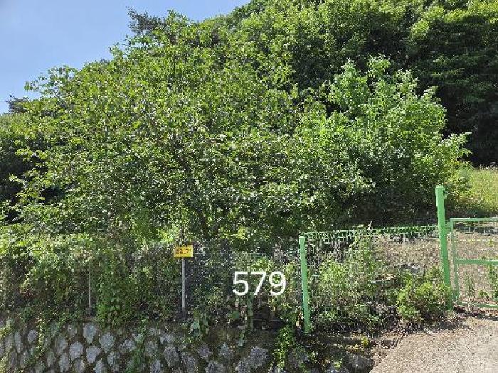 법원경매 2025타경579 사진7 | 부산 기장군 정관읍 용수리 874 답 경매