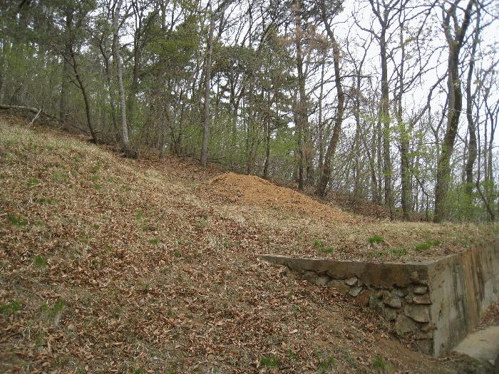 법원경매 2025타경5095 사진2 | 부산 기장군 정관읍 월평리 임야 경매
