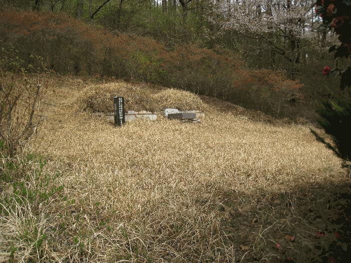 법원경매 2025타경5095 사진5 | 부산 기장군 정관읍 월평리 임야 경매