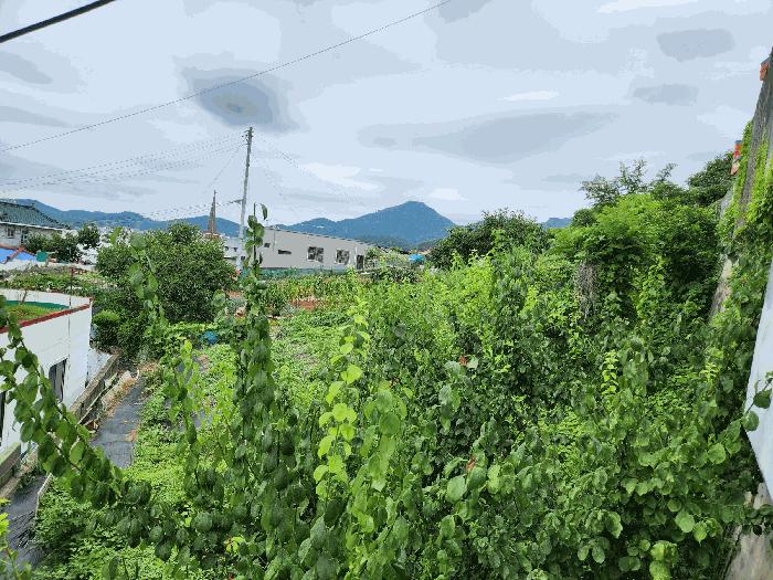 경상남도 통영시 도천동 894 법원경매 물건 대표사진