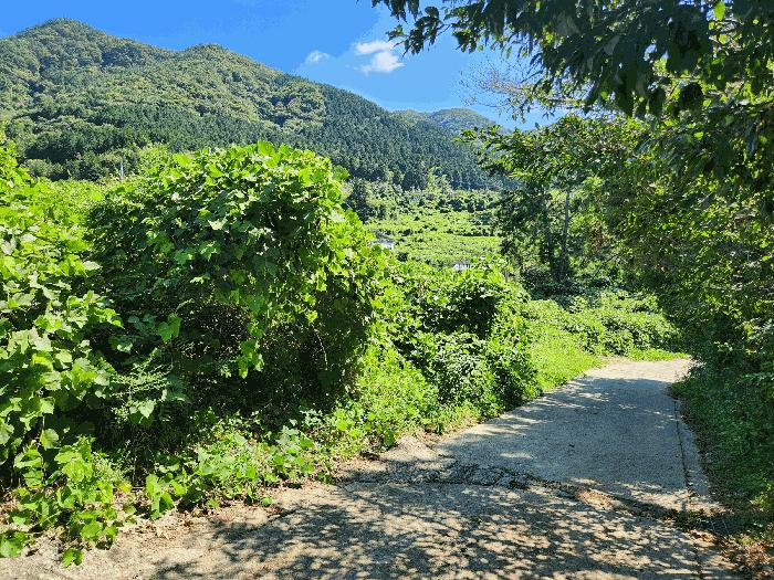 2025타경21828 법원경매 사진4 | 경남 거제시 임야 경매