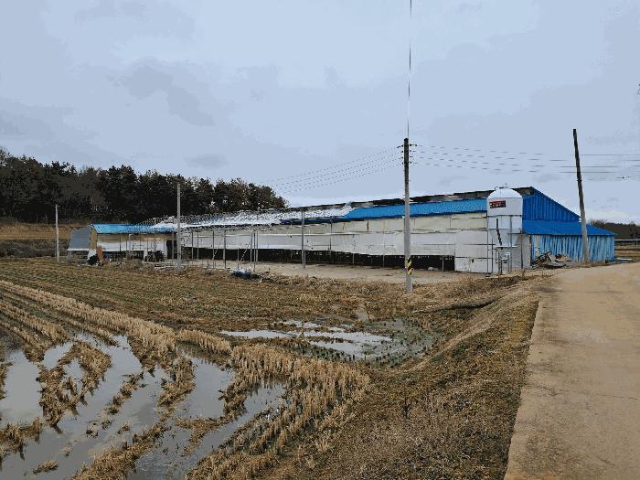 2025타경557 법원경매 사진2 | 전북 김제시 축사(농가시설) 경매