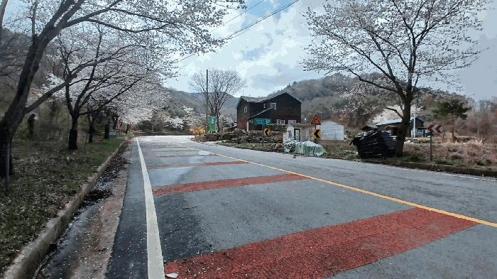 2025타경635 법원경매 사진5 | 전북 진안군 기타 경매