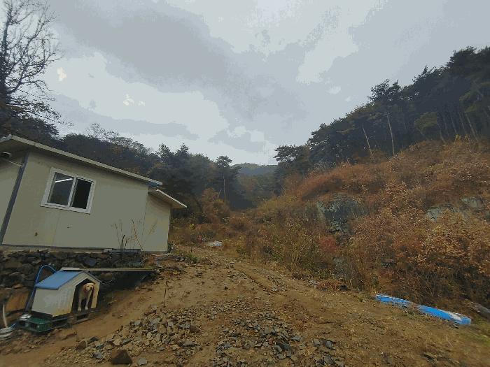 2025타경2168 법원경매 사진6 | 경남 밀양시 임야 경매