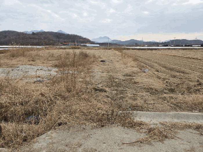 경상남도 창녕군 장마면 장가리 1382-1 법원경매 물건 대표사진