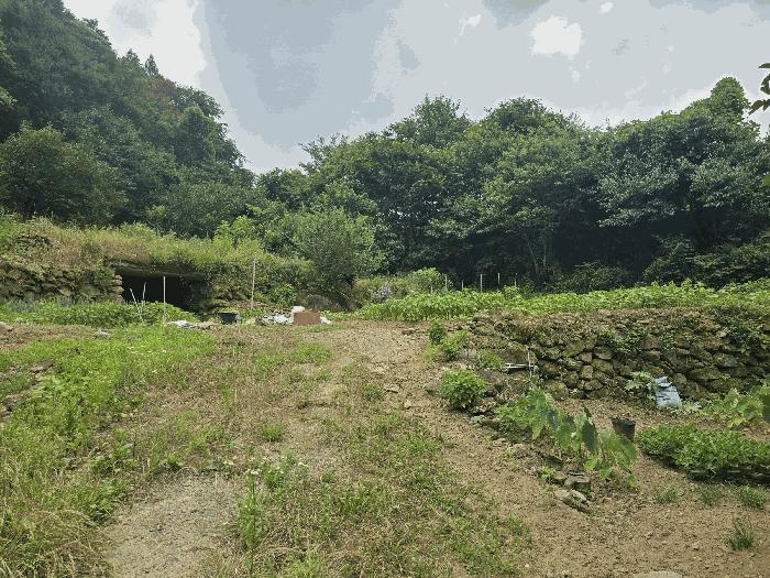 2025타경503 법원경매 사진5 | 전남 광양시 대지,임야,전답 경매