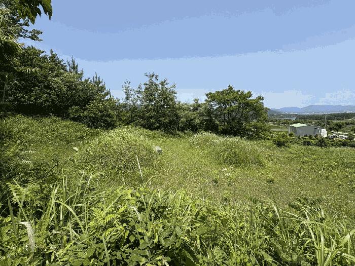 2025타경5274 법원경매 사진4 | 전남 강진군 공장 경매