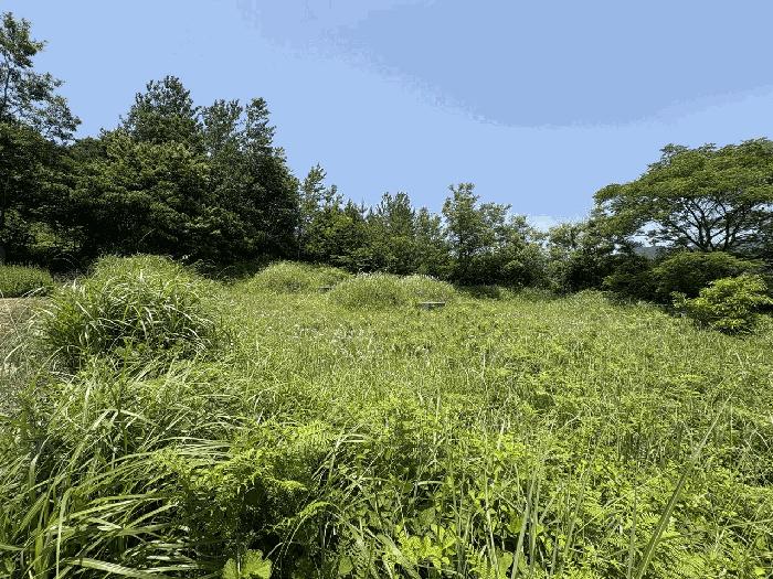 전라남도 강진군 강진읍 영파리 203-3 법원경매 물건 대표사진