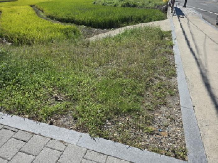 2025타경5319 법원경매 사진22 | 전남 강진군 대지 경매