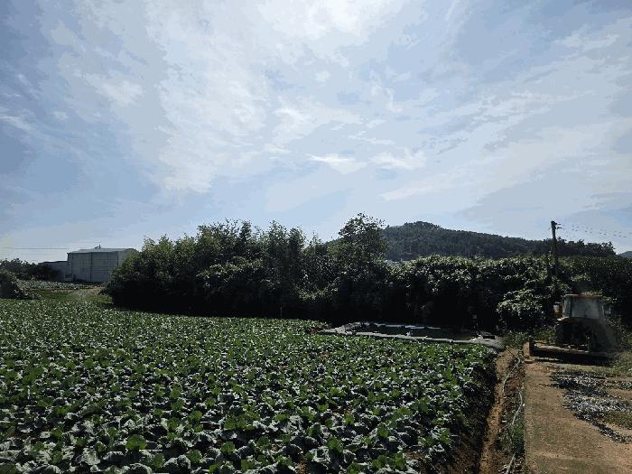법원경매 2025타경511 사진22 | 무안군 해제면 덕산리 1157 전 경매