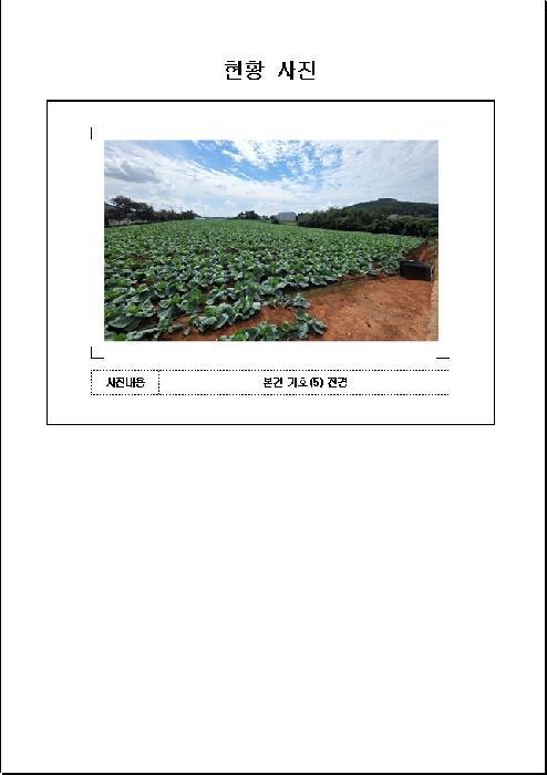 법원경매 2025타경511 사진33 | 무안군 해제면 덕산리 1157 전 경매