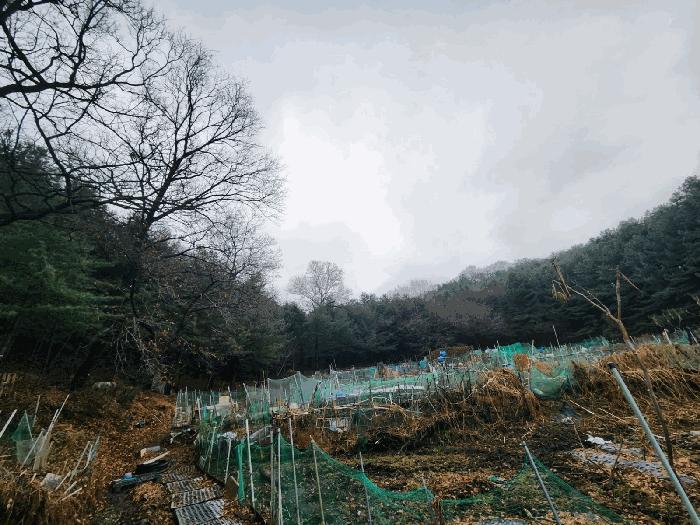 경기도 군포시 산본동 산104-1 법원경매 물건 대표사진