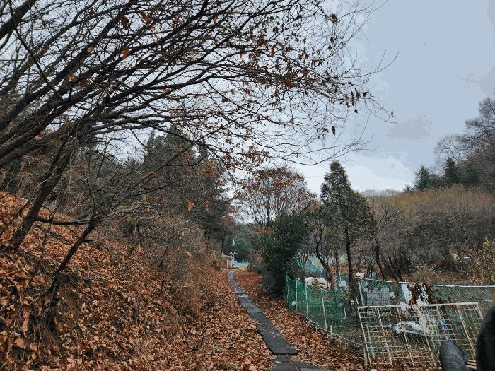법원경매 2024타경107598 사진4 | 군포시 산본동 임야 경매