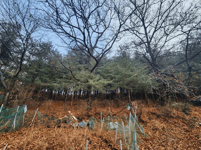 법원경매 2024타경107598 사진5 | 군포시 산본동 임야 경매
