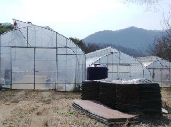 법원경매 2025타경585 사진79 | 정선군 신동읍 고성리 106 전 경매