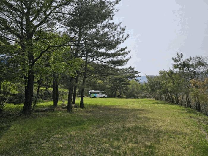 법원경매 2025타경585 사진17 | 정선군 신동읍 운치리 823 전 경매
