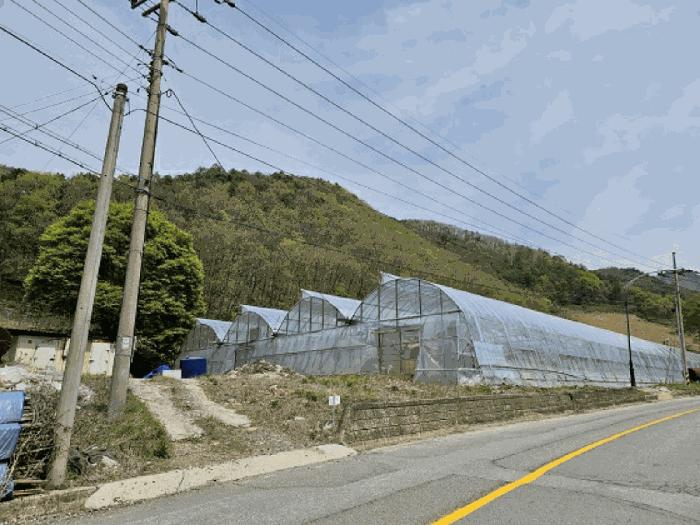 법원경매 2025타경585 사진33 | 정선군 신동읍 전 경매