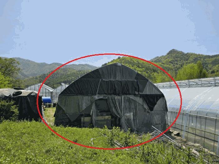 법원경매 2025타경585 사진35 | 정선군 신동읍 전 경매