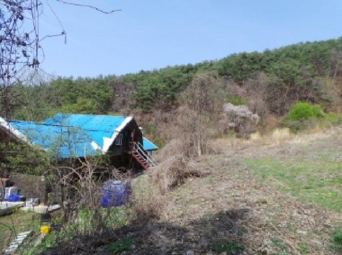 법원경매 2025타경585 사진68 | 정선군 신동읍 전 경매