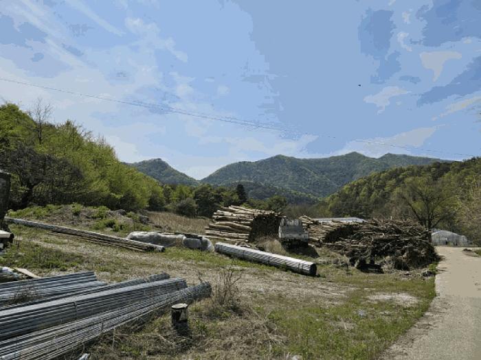 법원경매 2025타경585 사진10 | 정선군 신동읍 고성리 341-1 전 경매