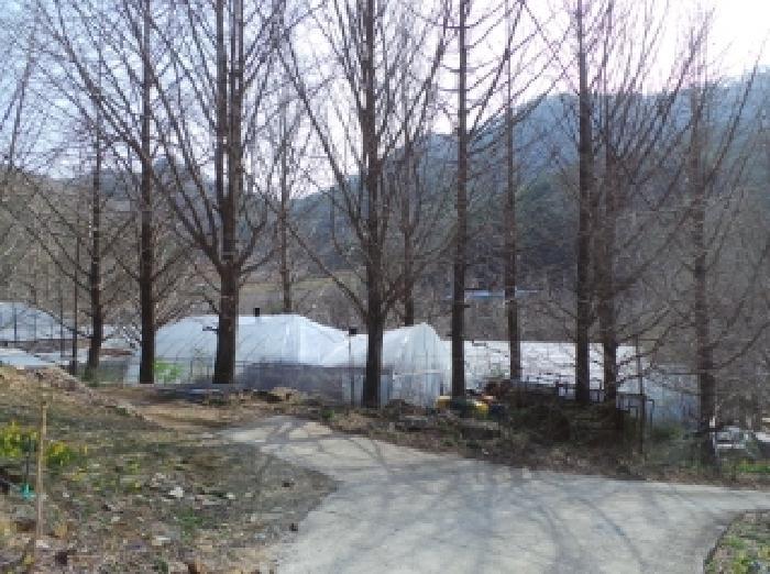 법원경매 2025타경585 사진47 | 정선군 신동읍 고성리 341-1 전 경매