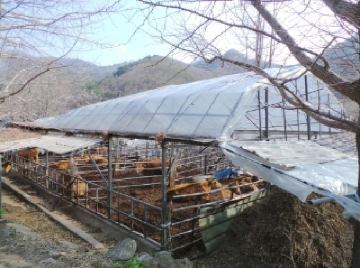 법원경매 2025타경585 사진48 | 정선군 신동읍 고성리 341-1 전 경매